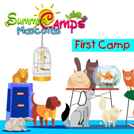 First Sumer Camp 2024